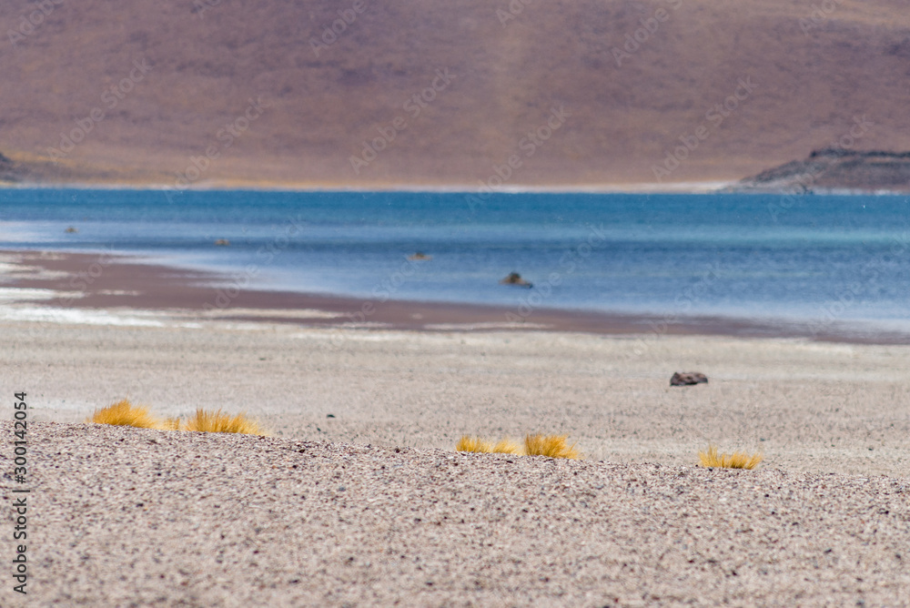 no people, pedro, san, mountains, plateau, climate, view, reflection, reserve, outdoor, snow, land, scenics, region, majestic, outdoors, panoramic, scenic, high, landscape, travel, lagoon, altiplano, no people, pedro, san, mountains, plateau, climate, view, reflection, reserve, outdoor, snow, land, scenics, region, majestic, outdoors, panoramic, scenic, high, landscape, travel, lagoon, altiplano,