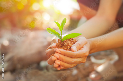 Young Woman holding green seedling on husk on her hand prepare for plant, side view with selective focus.