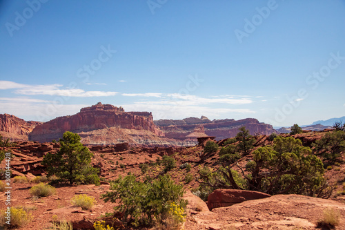 Amazingly resilient green shrubs exist in this rocky arid climate of Capitol Reef National Park, Utah © Anne Lindgren