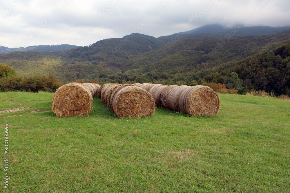 Balle di fieno sul prato di montagna