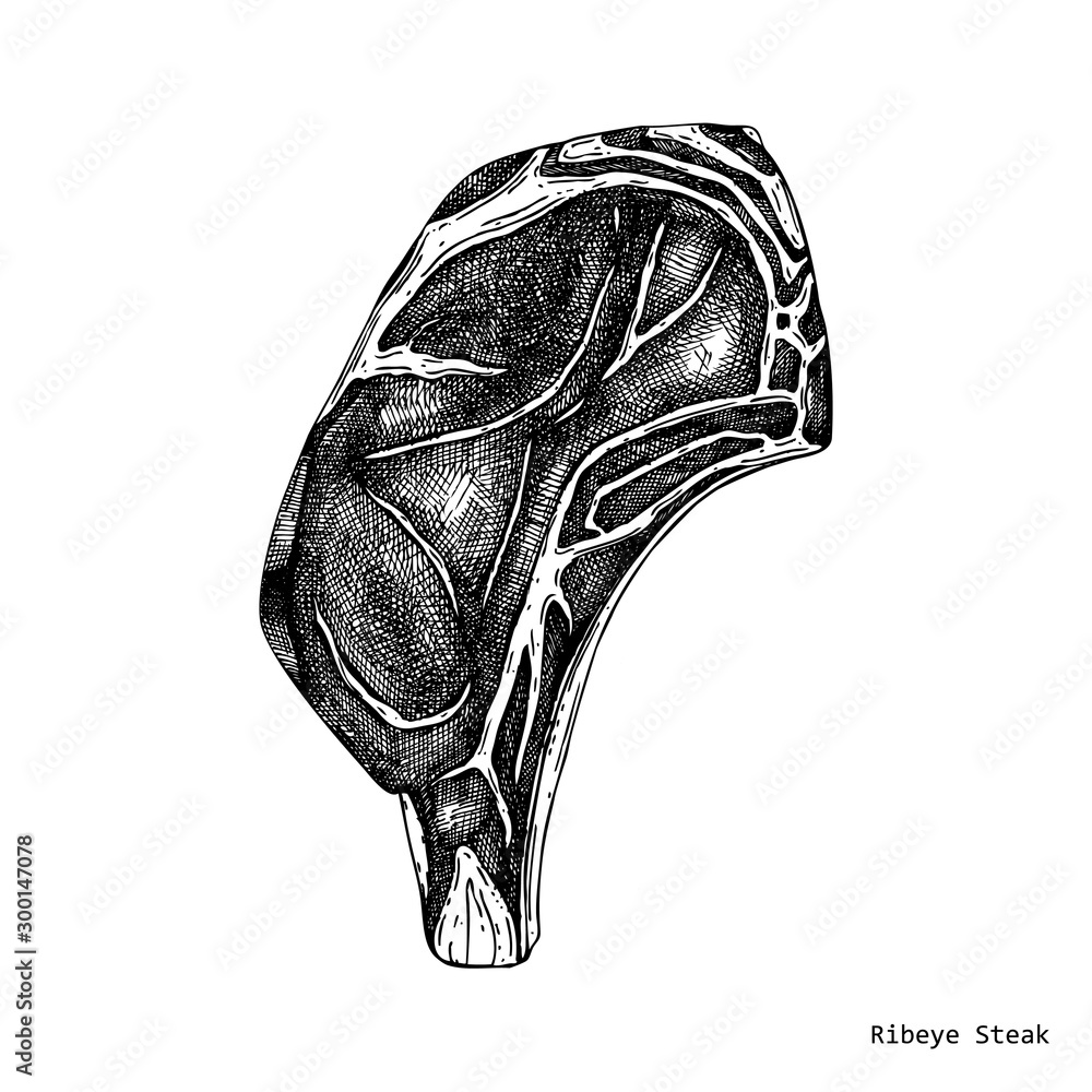 Ribeye steak vector illustration. Raw meat top view drawing. Hand drawn ...