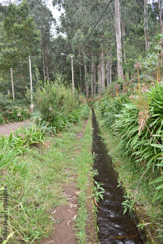 Hiking trail at Levada do Rei in Madeira, Portugal Hiking trail at Levada do Rei in Madeira, Portugal