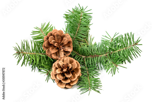 Pine cones with Christmas tree branch isolated