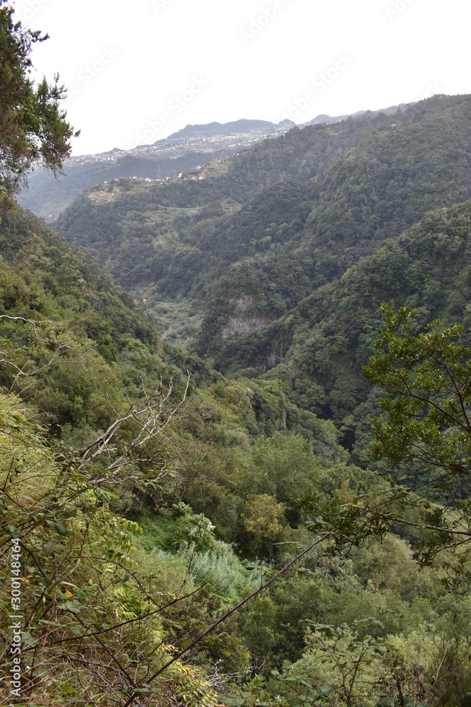 Fototapeta premium Hiking trail at Levada do Rei in Madeira, Portugal