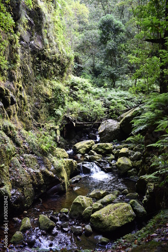 Hiking trail at Levada do Rei with a waterfall in Madeira  Portugal