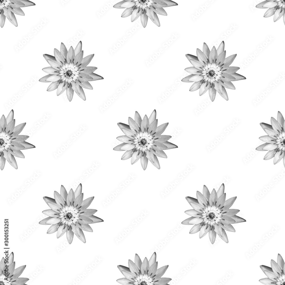 Lotus with black and white monotone as seamless wallpaper on white background Lotus with black and white monotone as seamless wallpaper on white background