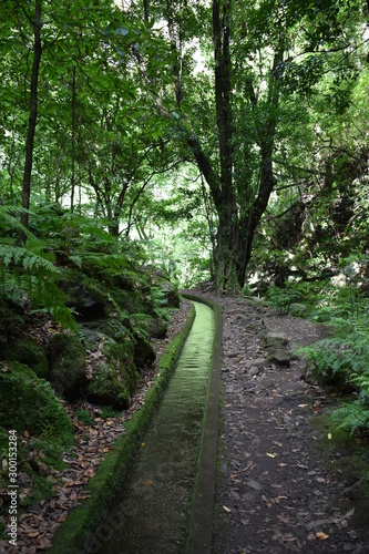 Hiking trail at Levada do Rei in Madeira, Portugal