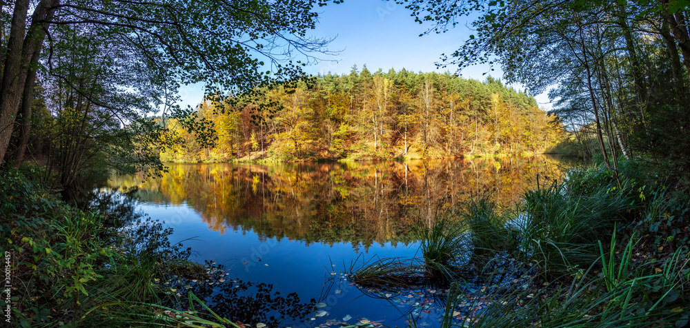 Ufer mit wildem Pflanzerbewuchs am herbstlichen Teich mit intensiver Spiegelung im frühen Abendlicht Ufer mit wildem Pflanzerbewuchs am herbstlichen Teich mit intensiver Spiegelung im frühen Abendlicht