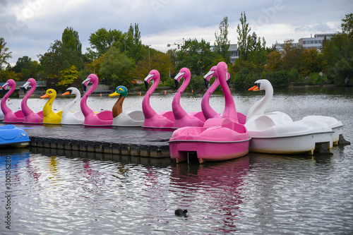 pink flamingos, ducks and swans  shape water paddle boats in the lake