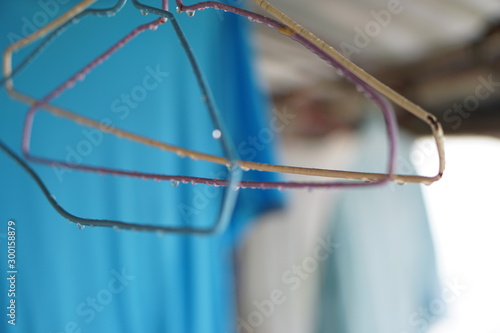 Coffee Hill Flower and Forest plant