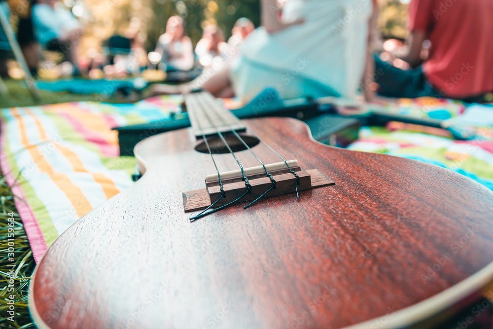 Ukulele in nature, the concept of a fun musical weekend friends in the Park