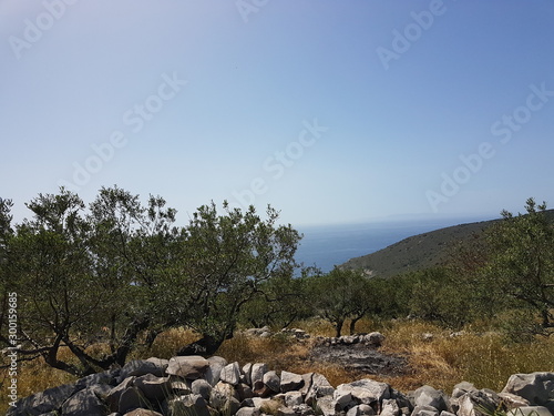 Peloponnese, Southern Europe: Olive trees, sea and towers