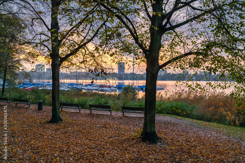 Fototapeta premium Hamburg, Germany. Park at the Lake Alster in the autumn.