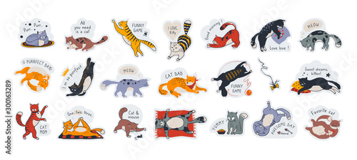 Cat stickers. Cute pet labels with motivation quotes, diverse hand drawn cartoon characters different poses. Vector illustrations funny doodle drawing set, happy expressions kitten face concept