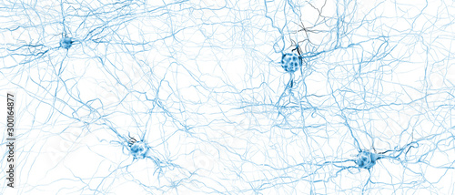 Signal transmitting neuron or nerve cell- 3d illustration photo