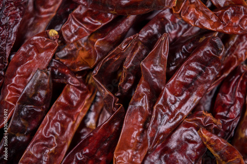 Foto CHILE DE ARBOL CLOSE