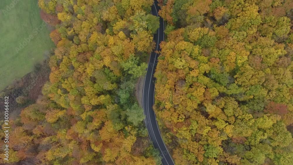 Aerial view of road from forest, autumn season, beautiful colorful landscape Aerial view of road from forest, autumn season, beautiful colorful landscape