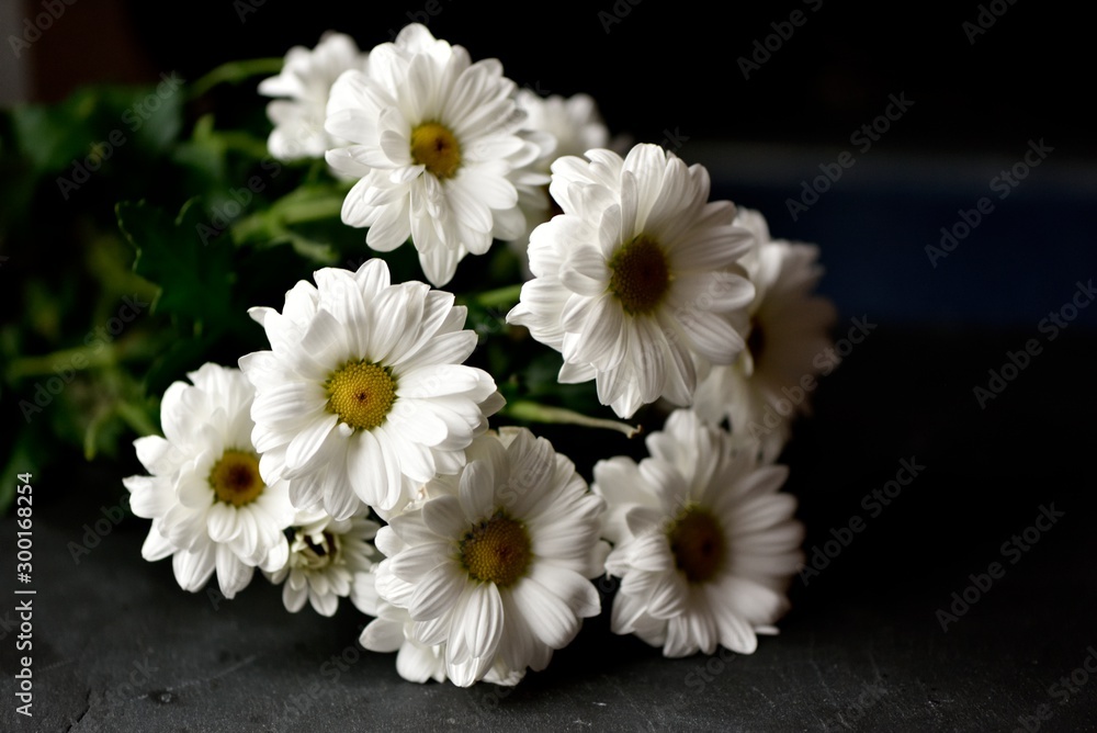 Obraz premium Bouquet de Marguerites