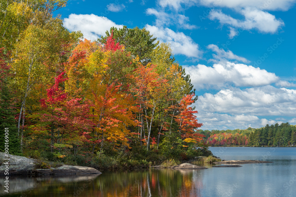 An explosion of autumn colour along the shore of a lake with fair-weather clouds in a blue sky