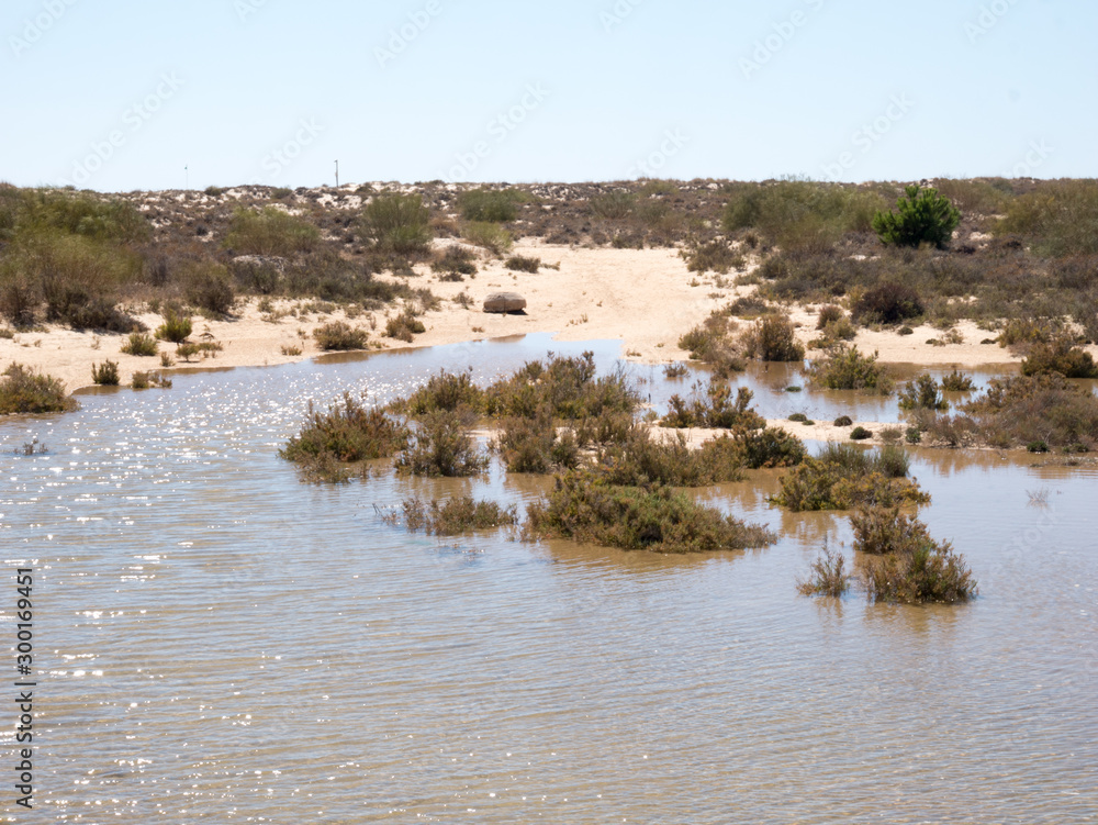 Portugal - Algarve - Cabanas - Rio Formosa Gezeiten Portugal - Algarve - Cabanas - Rio Formosa Gezeiten