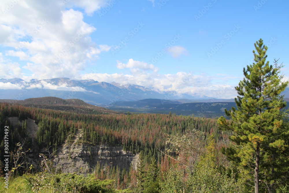 Another View From Maligne Overlook, Jasper National Park, Alberta