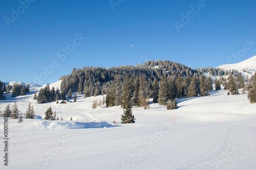 Skiing in alps © swisshippo