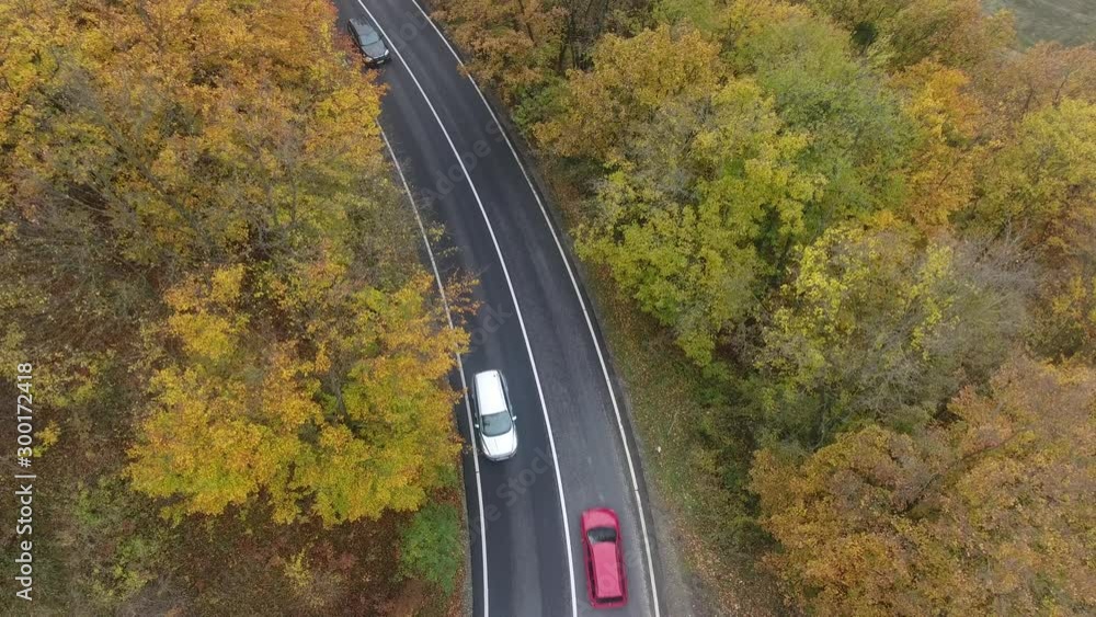 Aerial view of road from forest, autumn season, beautiful colorful landscape Aerial view of road from forest, autumn season, beautiful colorful landscape