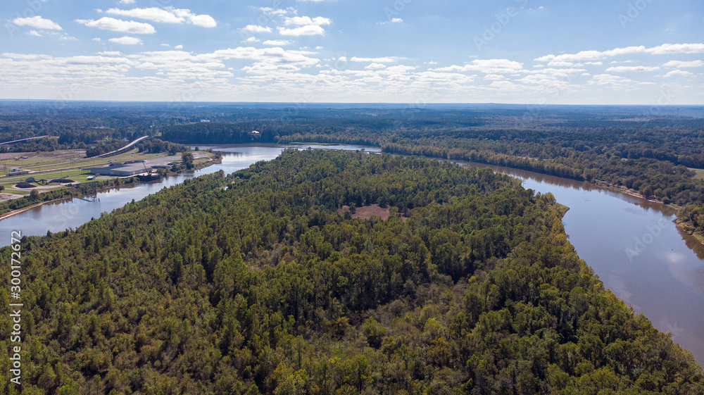 Forest top view drone red river louisiana