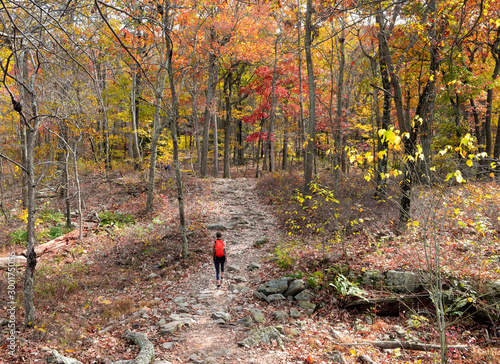 Girl Backpacking On Colorful Wooded Trail