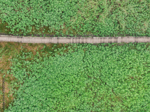 Wallpaper Mural landscape of the pantanal in brazil from above Torontodigital.ca