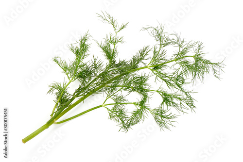 Fresh Green Dill, isolated on white background
