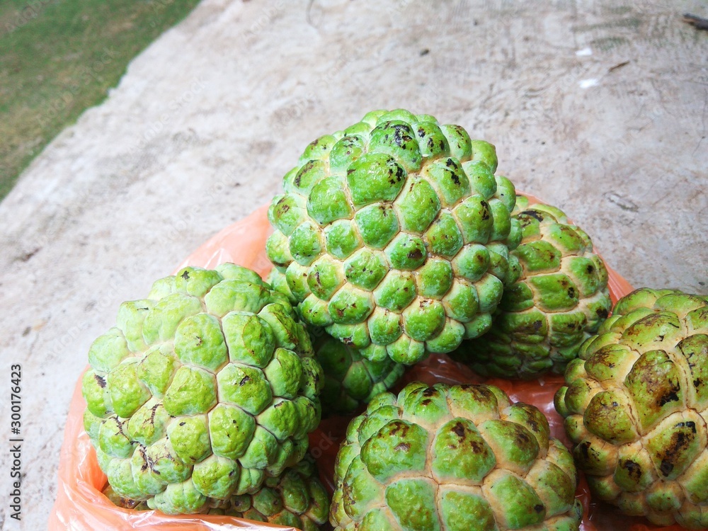 Obraz premium Custard apple