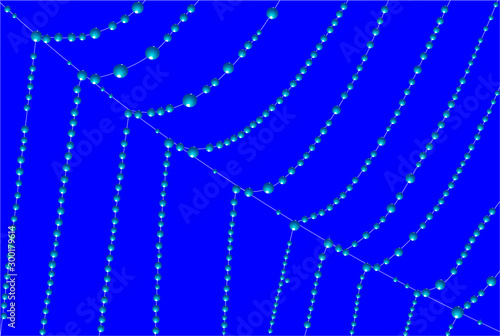 spider web covered with dew on a blue background