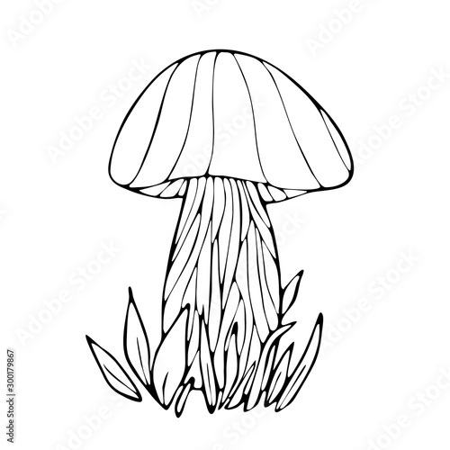 Line drawing mushrooms with details for coloring book pages.