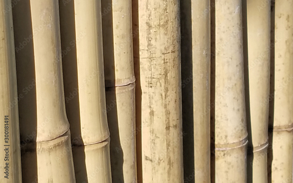 Bamboo Wall With Shadows Bamboo Wall With Shadows