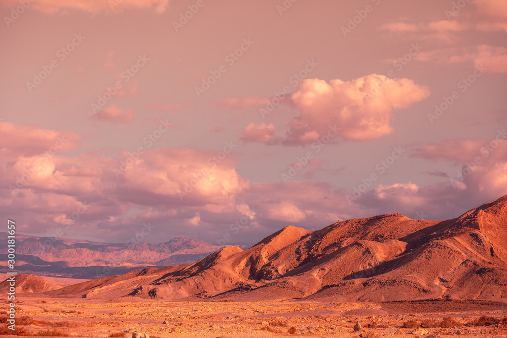 Naklejka premium Mountain nature landscape. Desert on a sunny day. Negev Desert. View of the valley with mountains on backdrop. Nature Israel