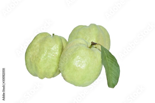 Wallpaper Mural guava on white background Torontodigital.ca