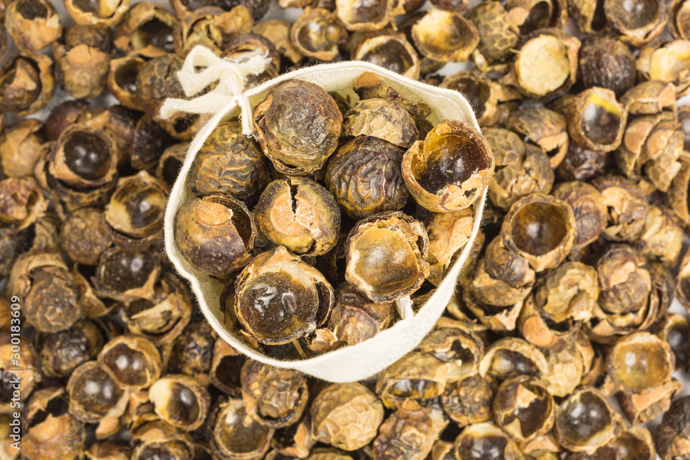 soap nuts - sapindus mukorossi - in a cotton bag soap nuts - sapindus mukorossi - in a cotton bag