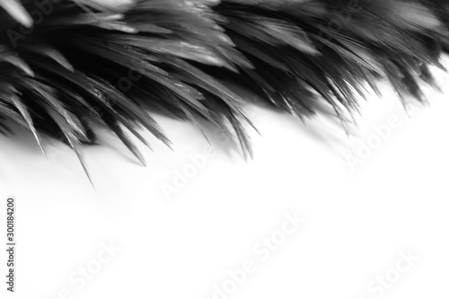 Beautiful abstract white an...