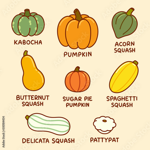 Cartoon pumpkin and squash
