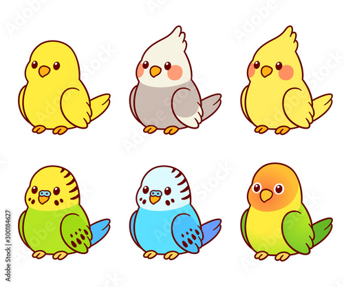 Small pet birds set