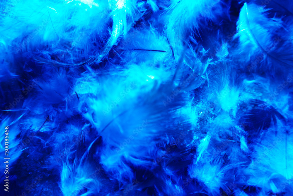 Beautiful abstract colorful pink and white feathers on dark background and soft white blue feather texture on white pattern Beautiful abstract colorful pink and white feathers on dark background and soft white blue feather texture on white pattern