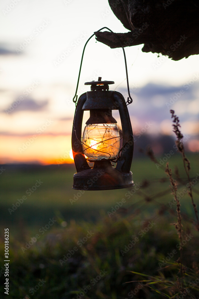 vintage lantern hanging on the tree lighted by the sun