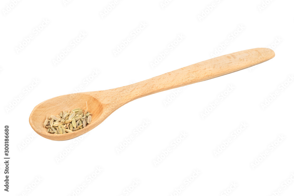 Dry fennel in spoon Dry fennel in spoon
