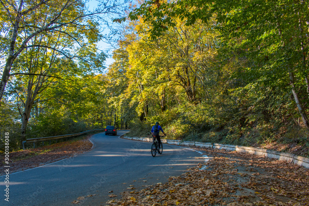 Man riding a bike on a curved road in autumn scenary. Autumn bike riding Man riding a bike on a curved road in autumn scenary. Autumn bike riding