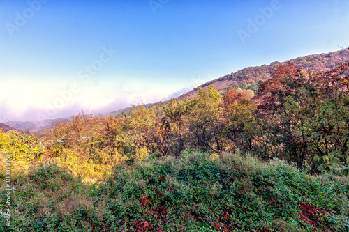 autumn in the mountains © damianbn