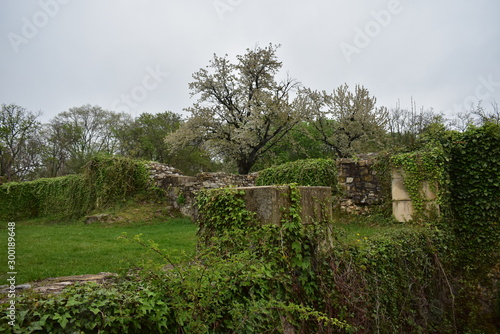 ruins of old abbey in Hungary