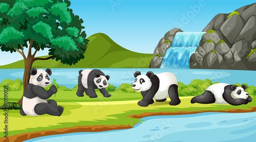 Scene with cute pandas in the park