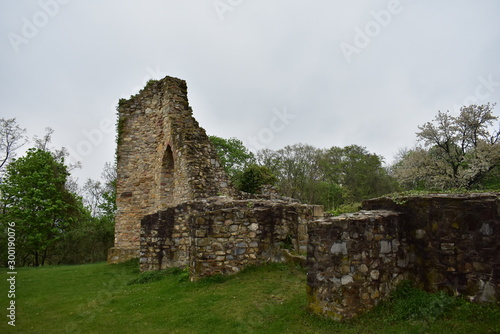 ruins of old abbey in Hungary