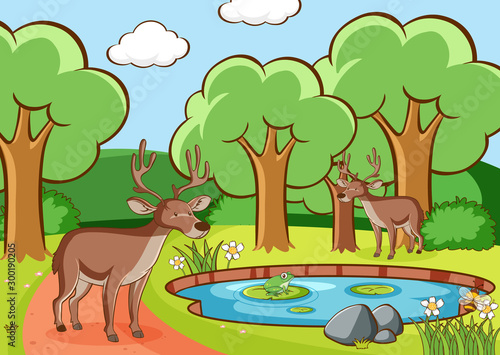 Scene with deers in forest